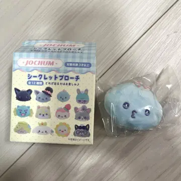 JOCHUM 마이크 시크릿 브로치