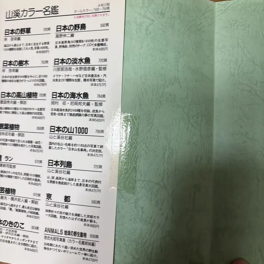 5번째 상품 이미지