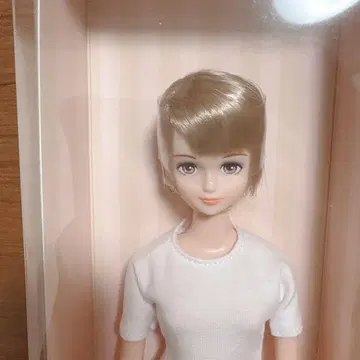 리카짱 캐슬 시온 제니 프렌드 시온 일본바시 BASIC 모델