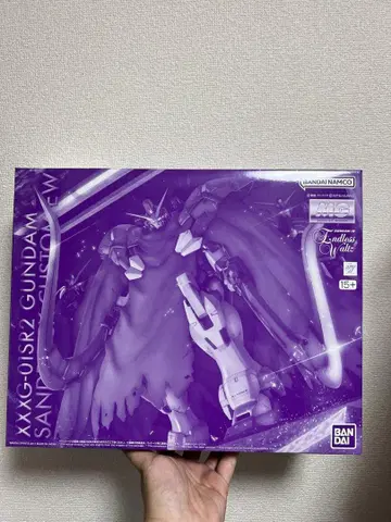 MG 1/100 건담 산드로크 개 EW