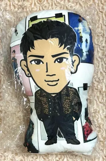 코하츠시 쿠션
