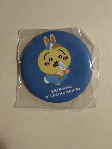 치이카와 (먼작귀) 유원지 캔뱃지