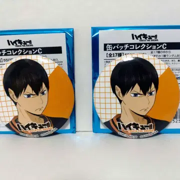 하이큐!! 하이큐 하이카라 카게야마 토비오