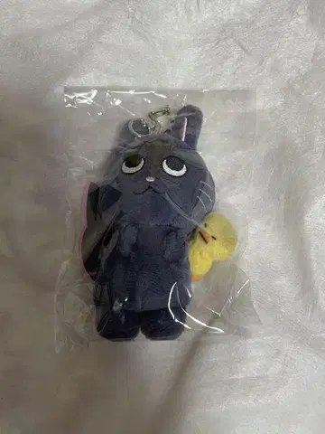 RIIZE 원빈 발렌타인 10cm 인형 키링 봉제 인형