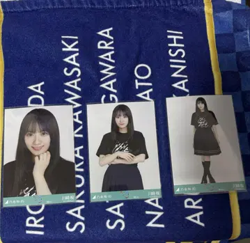 카와사키 벚꽃 브로마이드 도쿄 라이브T 2025 컴프