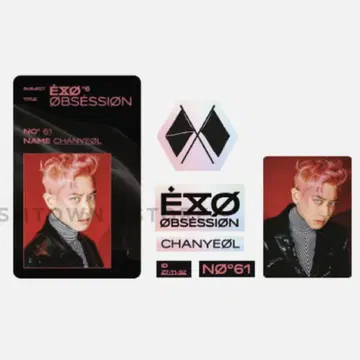 EXO obsession 찬열 스티커 세트