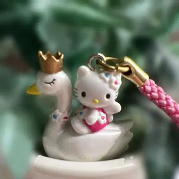지역 한정 키티
