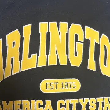 ARLINGTON EST. 1875 후드티 블랙