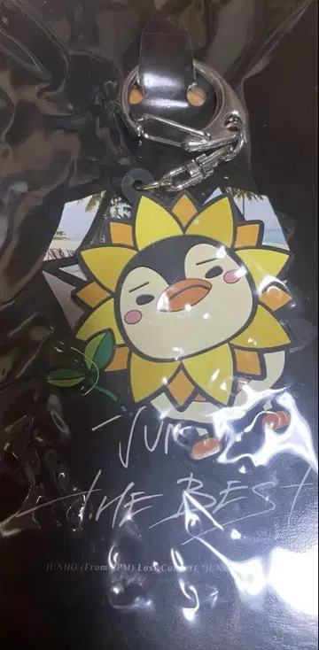 2PM 준호 펭귄 러버 키링
