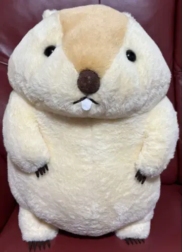 마모트의 마토토 울트라 BIG 봉제 인형 마토토