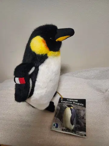 나고야항 수족관 한정판 엠퍼러 펭귄 봉제 인형