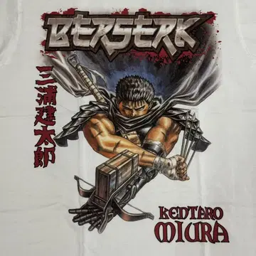 Berserk 베르세르크전 갓츠 캐스커 그리피스 베헤리트 매의 단