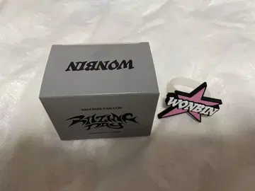 RIIZE 원빈 응원봉 액세서리