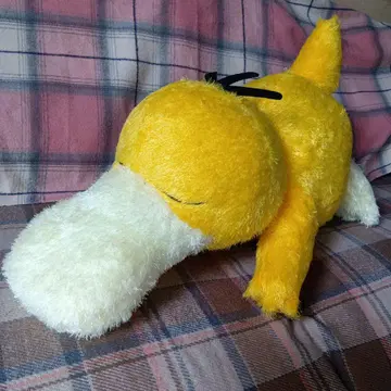 포켓몬스터 메챠모후굿토 쿠츠로기 타임 봉제 인형 코닥