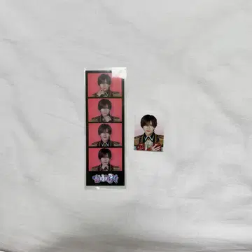 러브시크 사쿠라 스티커 씰