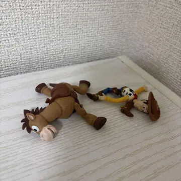 앤디가 왔다! 우디와 불스아이