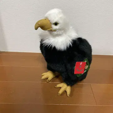 흰머리수리 봉제 인형 본체