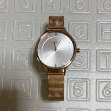 SKAGEN 여성용 손목시계