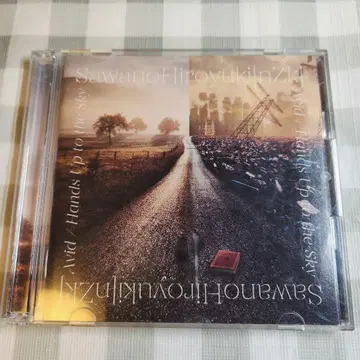 Avid/Hands Up to the Sky 사와노 히로유키 CD