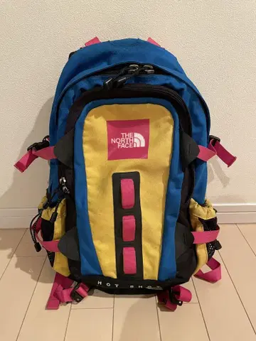 THE NORTH FACE 핫 샷 백팩