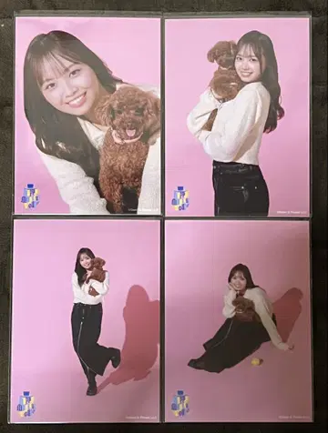 히나타자카46 브로마이드 하마기시 히요리