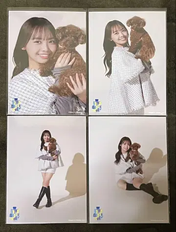 히나타자카46 브로마이드 하마기시 히요리