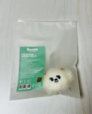 [ TXT PPULBATU ] 범규 BAMGEUT 페이스 키링