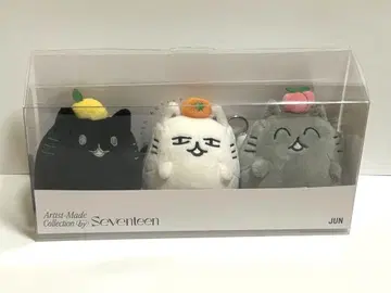 SEVENTEEN 아티스트 메이드 준 OCL 봉제 인형