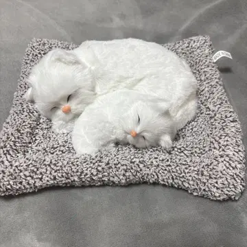 화이트 고양이 모자 봉제 인형 입상 B 비즈 방석