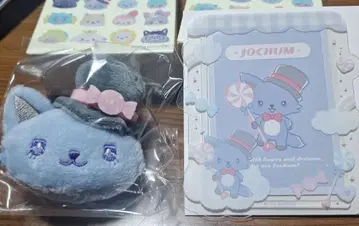 JOCHUM 시크릿 브로치 동전 카드 케이스 레인