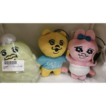[빤쮸토끼] 마스코트 빤쮸토끼 복장 곰 탈모 카파 [컴프]