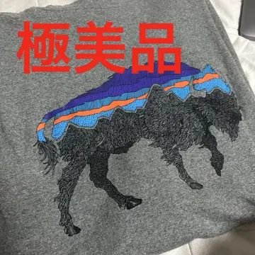 파타고니아 바이슨 롱T