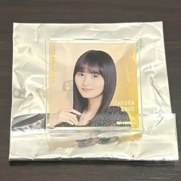 노기자카46 회장 복권 B상 아크릴 배지 엔도 사쿠라