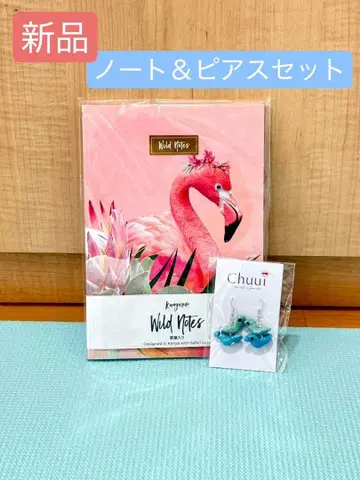 노트북 & 귀걸이 새