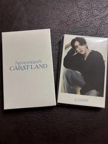 CARAT LAND 2024 인스턴트 포토 카드 세트