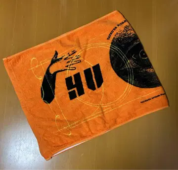 키타니 타츠야 Hugs Tour 타월