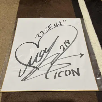이와타니 마유 선수 사인 색지 ICON 219