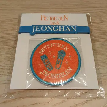 SEVENTEEN BE THE SUN 정한 응원봉 액세서리