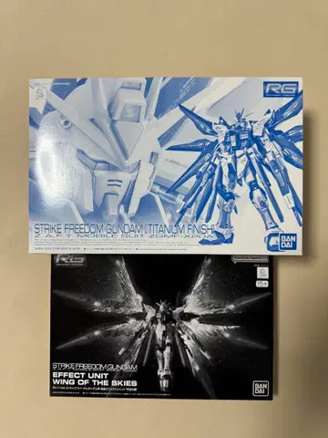 RG 스트라이크 프리덤 건담 [티타늄 피니쉬] 천공의 날개
