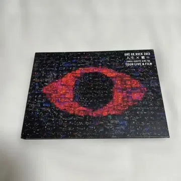 ONE OK ROCK 2013 TOUR LIVE & FILM