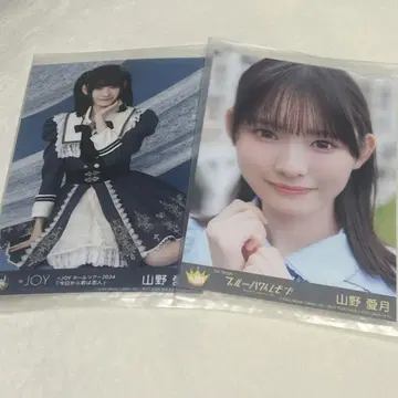 야마노 아이츠키 니어 조이 [ 오늘부터 너는 연인 ] DVD