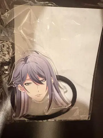 히프노시스 마이크 오카오 머리끈 진구지 쟈쿠라이