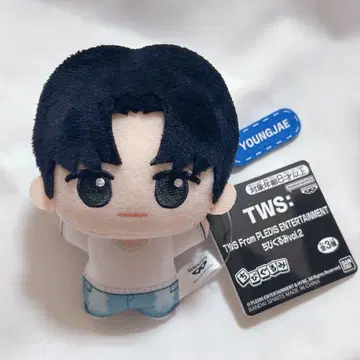 [ 익명 배송 ] SD 인형 영재