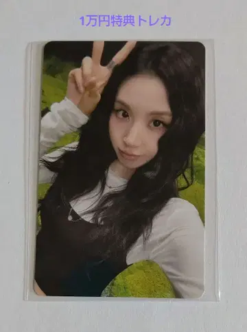TWICE enemy 1만 엔 혜택 트레이딩 카드 포토 카드 채영