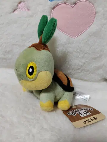 포켓몬 센터 포켓몬 fit 나에톨 봉제 인형 택 포함