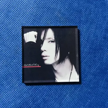 Acid Black Cherry 아크릴 마그넷 2개