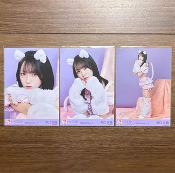 이코럽 노구치 이오리 고양이 의상 브로마이드 컴프