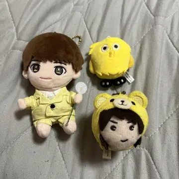 타마모리 유타 누이 3세트