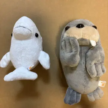 봉제 인형 바다코끼리 흰돌고래 핫케이시마 씨 파라다이스