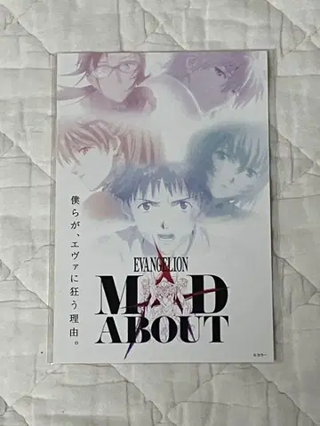 에반게리온 Mad About 엽서